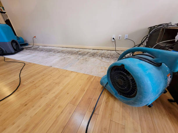 Professional Water Damage Repair technician working in Costa Mesa, CA